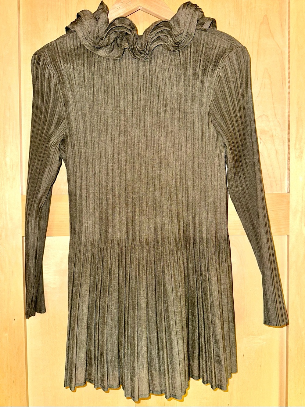 Japanese Fashion Je Crois Soi Micro Pleat Ruffle Tunic V-Neck Blouse Khaki/gray - Picture 3 of 16